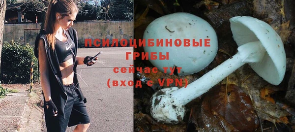 кокаин премиум Богданович