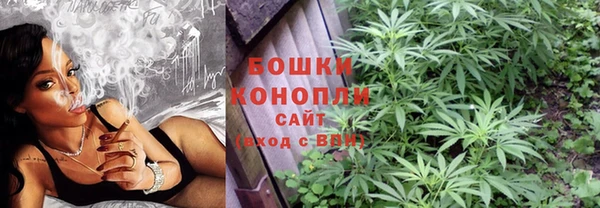 apvp Богородск