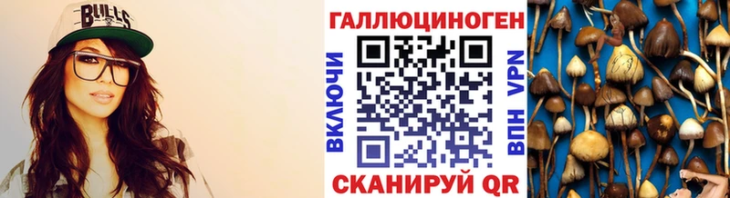 Галлюциногенные грибы Psilocybe  KRAKEN   Мосальск 